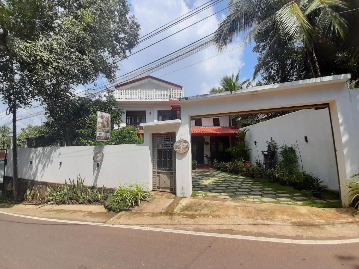 Abinu"S Place Dikwella Sur Exterior foto
